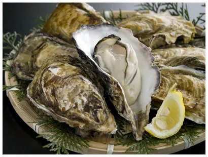 牡蠣のイメージ