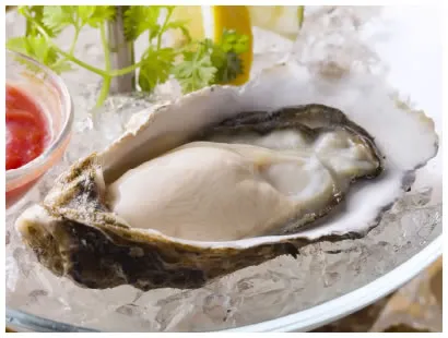 生牡蠣のイメージ