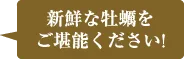 新鮮な牡蠣をご堪能ください!