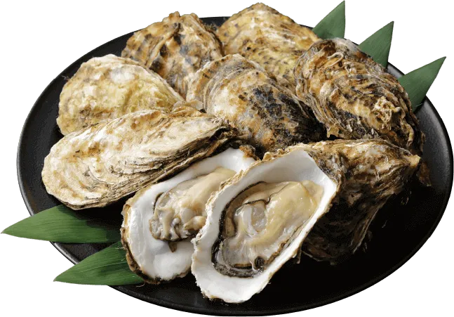 森盛水産の網干一年牡蠣