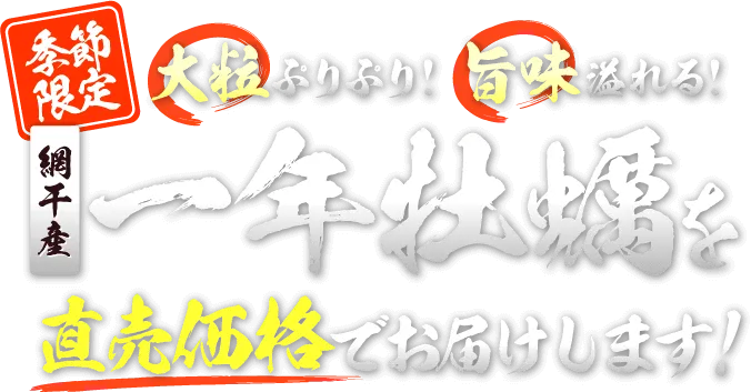 季節限定 大粒ぷりぷり!旨味溢れる!網干産一年牡蠣を直売価格でお届けします!